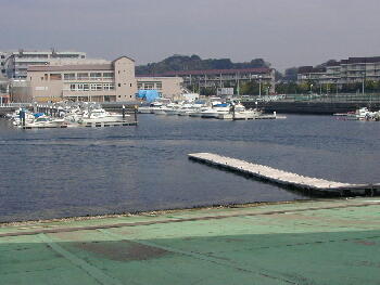 野島ｼﾛｷﾞｽ